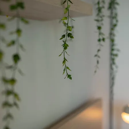 Sirius Town Modern & Comfortable Appartement