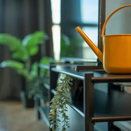 Sirius Town Modern & Comfortable